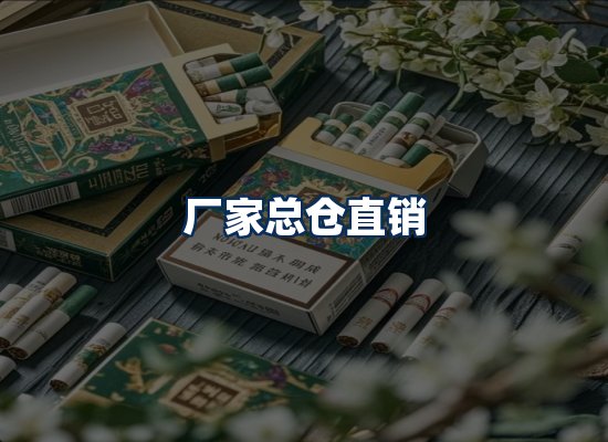 专业团队办公环境